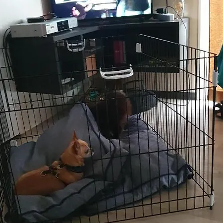 Escale Oceane * Wenduine