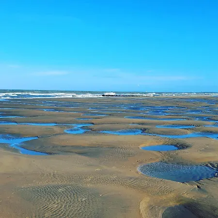 Escale Oceane *